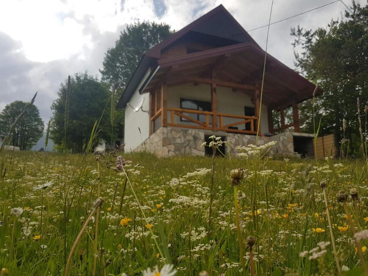 Eco Village Highlander Žabljak Exteriör bild