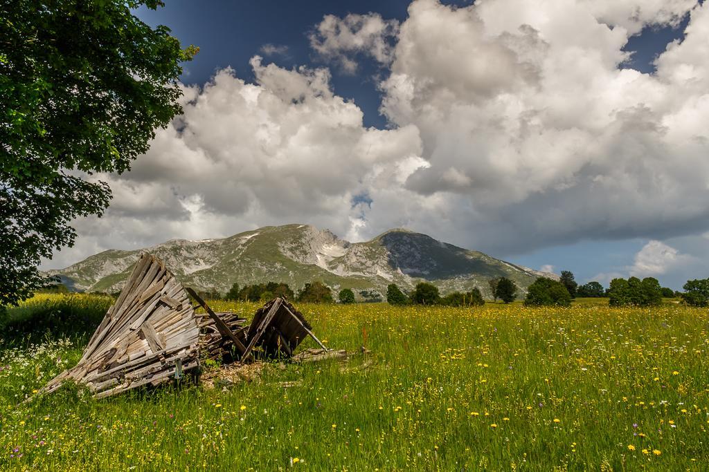 Eco Village Highlander Žabljak Exteriör bild
