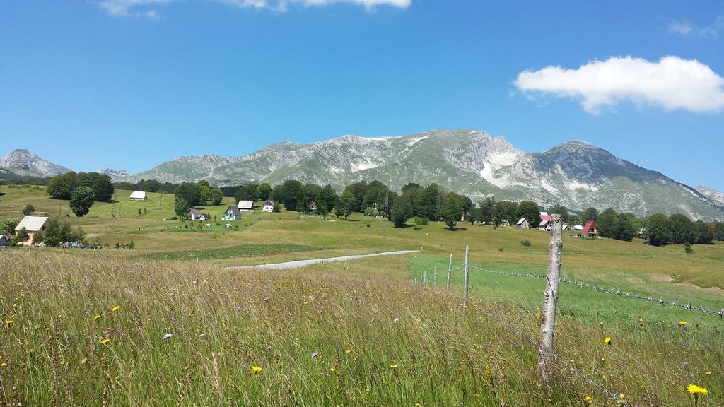 Eco Village Highlander Žabljak Exteriör bild